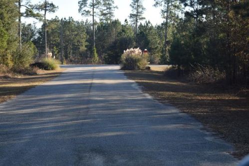 116 Albemarle Ct, Oakfield, GA 31772-7000