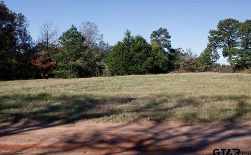 21056 Franklin Dr, Griffin, TX 75789-5420