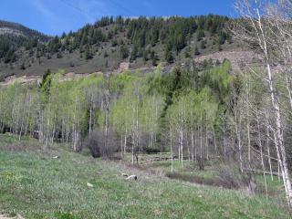 38 Aspen St, El Jebel, CO 81623-9301