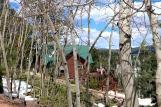 96 Paradiso Rd, Divide, CO 80814-8202