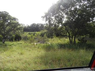 1780 Soaring Eagle Dr, Fischer, TX 78623