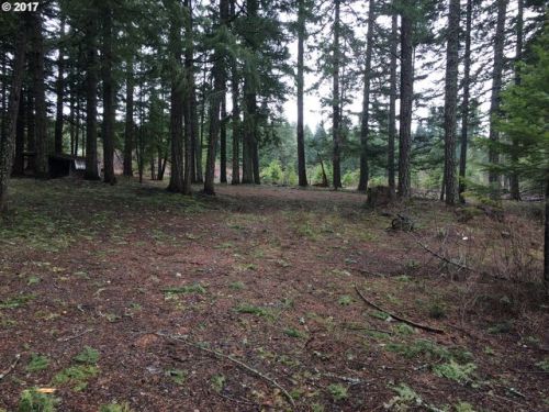 452 Sleepy Hollow Rd, Appleton, WA 98602-9722