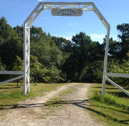 15044 Mcguire Dr, Howison, MS 39574-9373