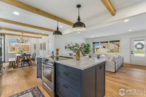 1316 Pitkin St, Fort Collins CO  80524-4020 exterior