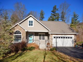 41 Rabbit Ridge Dr, Weaverville, NC 28787-9295