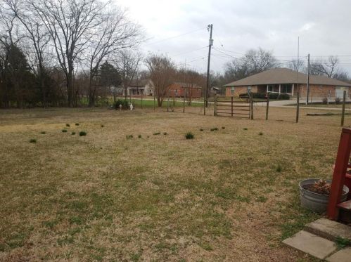 302 Maple St, Whitewright TX 75491-2616 exterior