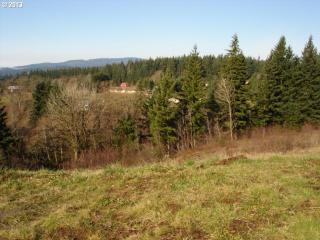 3211 44th St, Washougal, WA 98671-6824