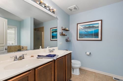 1341 Padre Island Ln, Pingree Grove IL  60140-2022 exterior