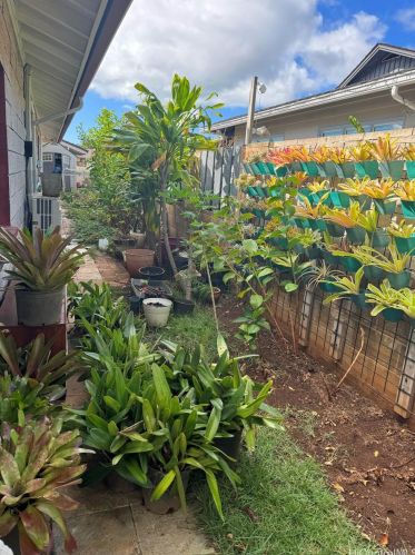 984 Ala Lehua St, Honolulu HI  96818-2302 exterior
