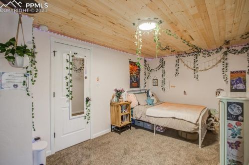 411 Evergreen Cir, Woodland Park CO 80863-2393 exterior