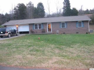 347 Teresa Ann Dr, Seymour, TN 37865-4745