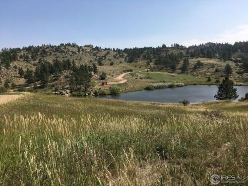 66 Mount Axtell Dr, Red Feather Lakes, CO 80536-9408