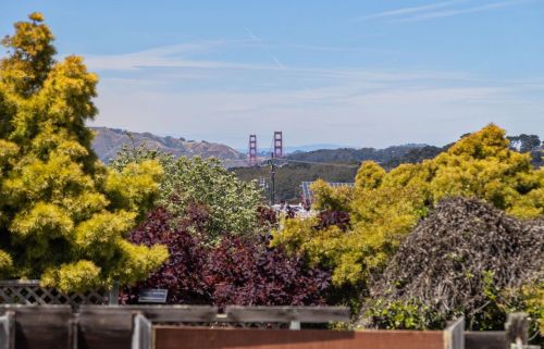 1971 21st Ave, San Francisco CA  94116-1206 exterior
