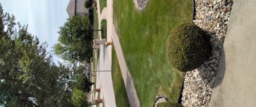 426 Carrick Rd, Matteson, IL 60443-1885