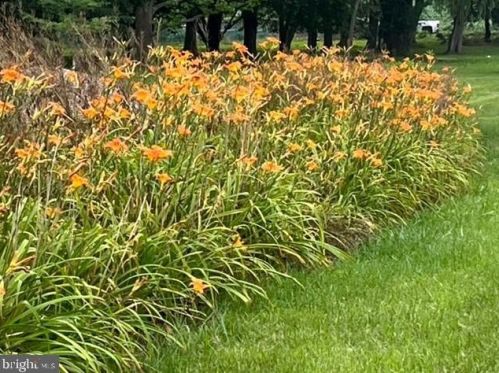 1917 Walnut Bottom Rd, Carlisle PA  17015-9624 exterior