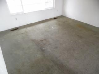 4910 Offut Lake Rd, Tenino, WA 98589-9254
