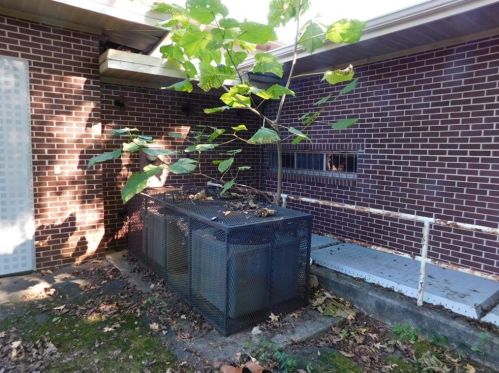 1125 Fountain Dr, Atlanta GA  exterior
