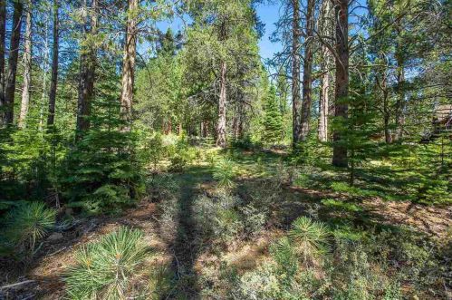 11861 Bottcher Loop, Truckee CA  96161-2793 exterior