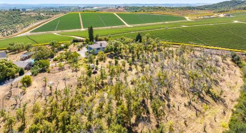 3910 Paso Del Lagos, Bonsall, CA 92003-4904