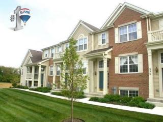 534 Lincoln Station Dr, Oswego, IL 60543-8137