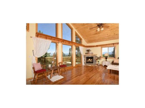 770 Wampum Ln, Fairplay, CO 80456-0421
