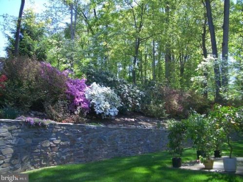 15037 Butterchurn Ln, Silver Spring MD 20905-5741 exterior