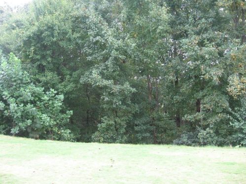 4345 Mill Farm Ln, Buford, GA 30519-6296