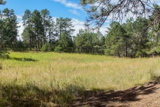 17650 Shahara Rd, Woodmoor CO  80132-8330 exterior