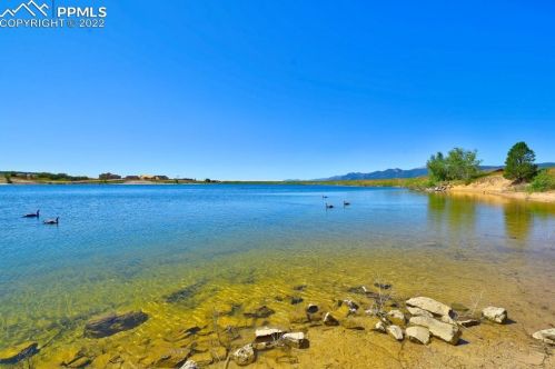 1430 Symphony Hts, Woodmoor CO  80132-8966 exterior