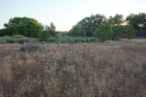 580 Ranchitos Rd, Corrales, NM 87048-9584