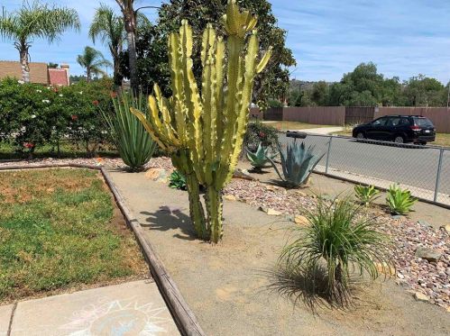 1135 Gamble St, Escondido, CA 92026-3151