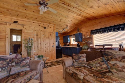176 Ignacio Way, Fairplay, CO 80456-0097