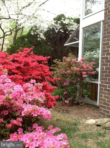 3917 Rickover Rd, Silver Spring MD 20902-2330 exterior