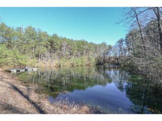 460 Salem Church Rd, Big Canoe, GA 30143-5831