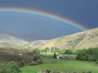 8849 Challis Creek Rd, Challis, ID 83226