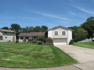 7811 Hidden Hollow Dr, Concord Township, OH 44060-7316