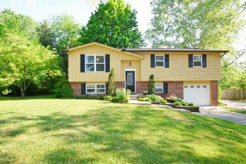 7704 Tinamarie Dr, Corryton, TN 37721-2943