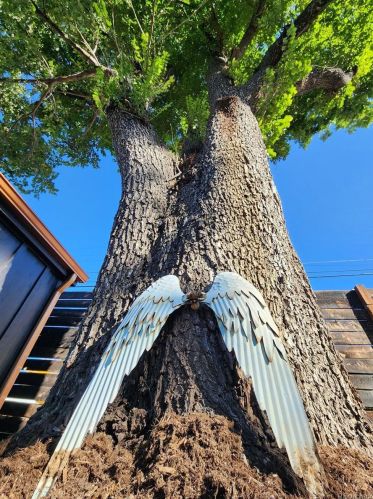 4400 Sherman St, Englewood CO 80113-5814 exterior