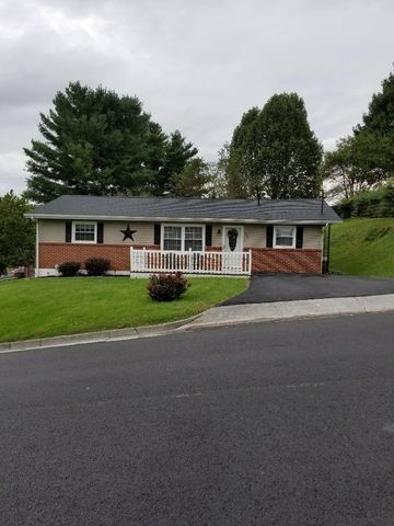 517 Coyner Ave, Thomas Bridge, VA 24354-2062