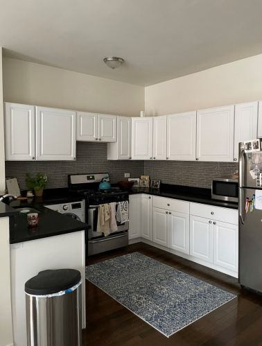 2907 Mildred Ave, Chicago, IL 60657-5015