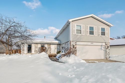 1203 Green Knolls Dr, Buffalo Grove, IL 60089-1145