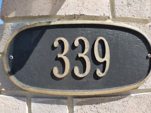 339 Discovery, Uhland TX  78640-5848 exterior