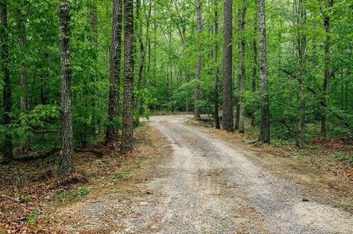 6095 Blacks Bluff Rd, Cave Spring, GA 30124-2195