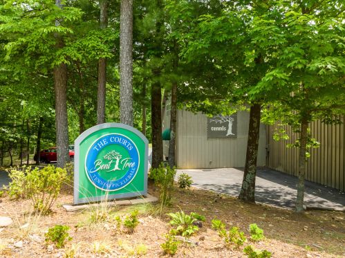 608 Moss Patch Trl, Big Canoe GA  30143-7867 exterior