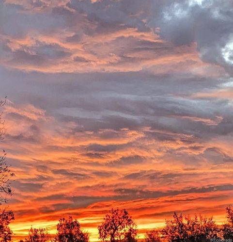 2912 Sherman St, Englewood CO  80113-1678 exterior