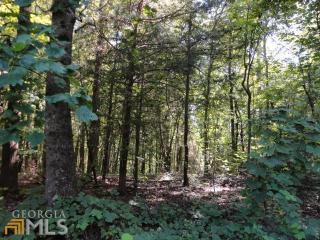 3260 Tanners Mill Rd, Gainesville, GA 30507-8821
