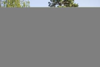 2816 Hillside Dr, Burlingame, CA 94010-5907