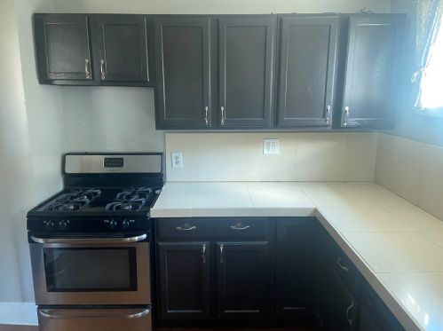 1643 Pine Rd, Homewood, IL 60430-1326