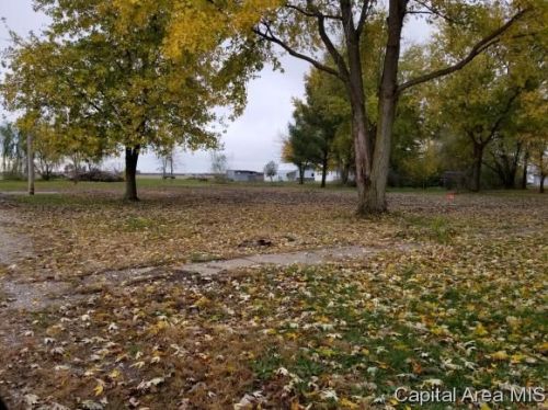 201 Myrtle St, Modesto, IL 62667-5443