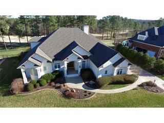 16120 Founders Bridge Ter, Midlothian VA  23113-6386 exterior
